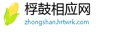 桴鼓相应网